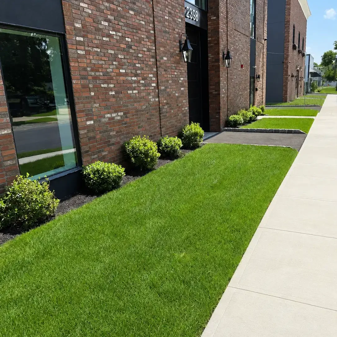 Commercial Lawn CNJOS2