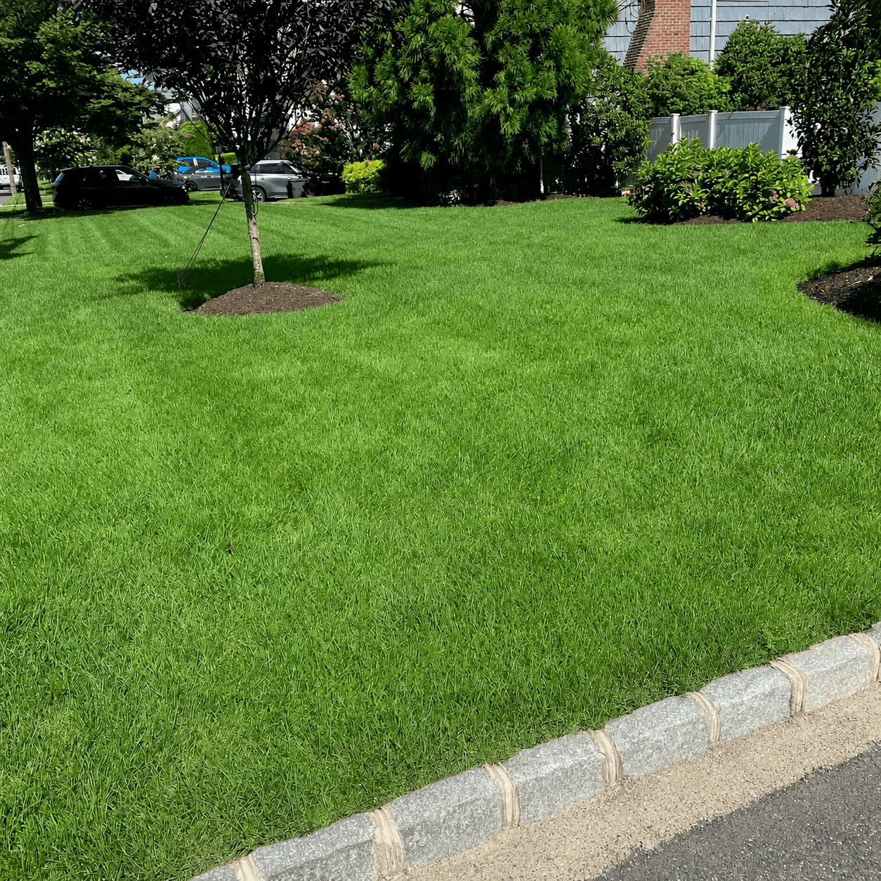 Customer Lawn Jobs Page 2